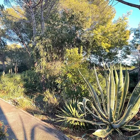 Pinede Mer Et Soleil Yourhosthelper *