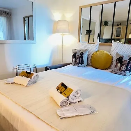 Apartment Pinede Mer Et Soleil Yourhosthelper Saint-Raphael (Var)